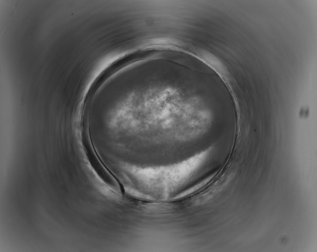 X0000097891392200804041300