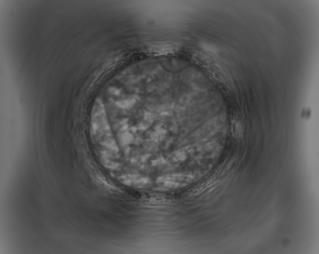 X0000097891393200804041259