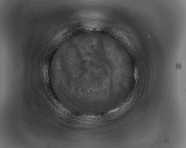 X0000097891396200804041259