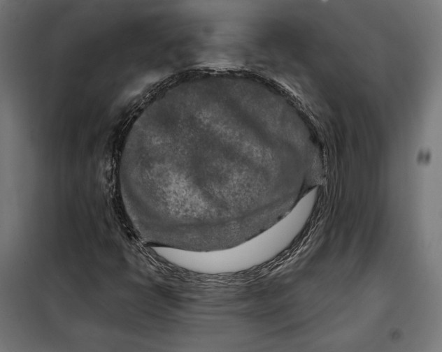 X0000097891398200804041259