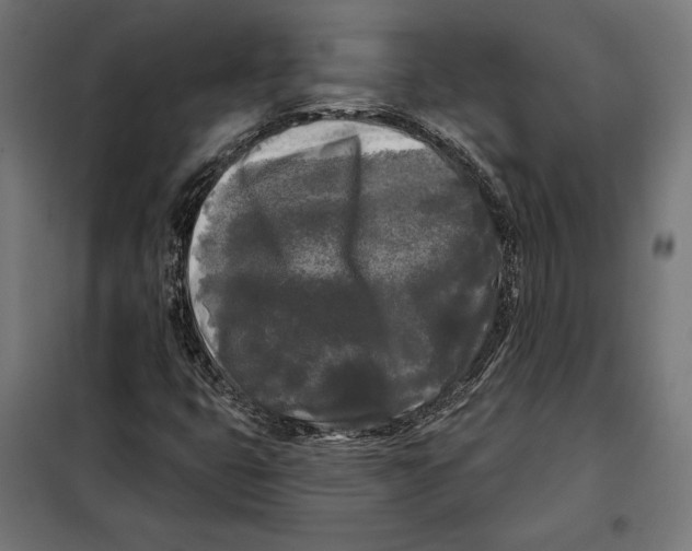 X0000097891399200804041259