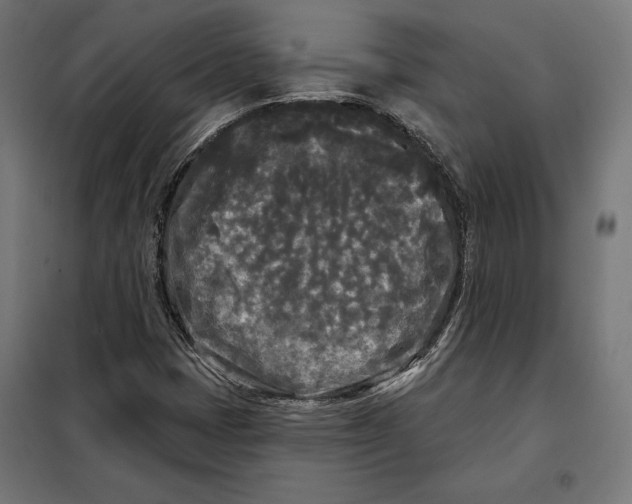 X0000097891401200804041259