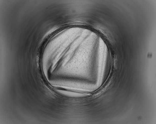 X0000097891402200804041300