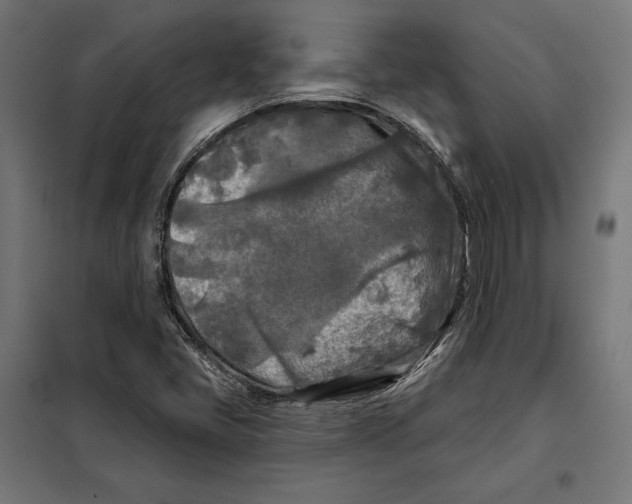 X0000097891405200804041300