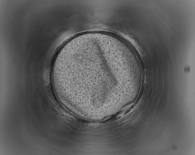 X0000097891407200804041300