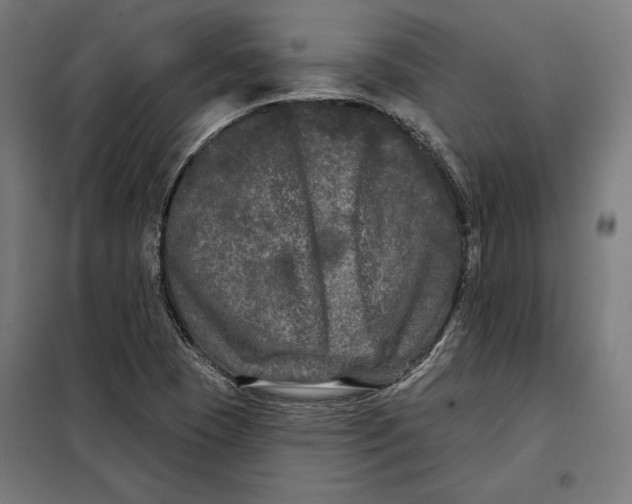 X0000097891409200804041300