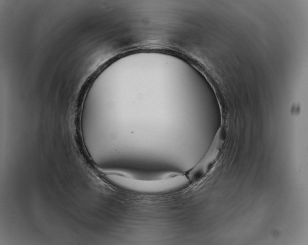 X0000097891410200804041300