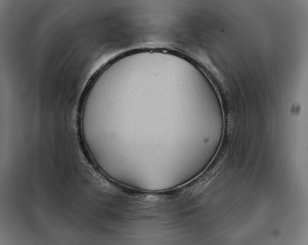 X0000097891412200804041300