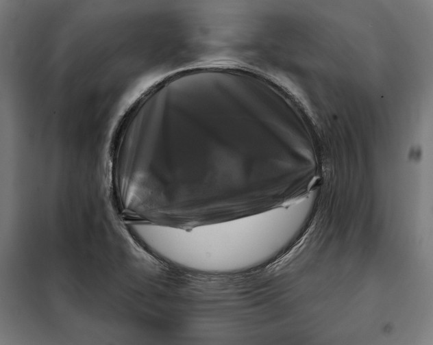 X0000097891414200804041300