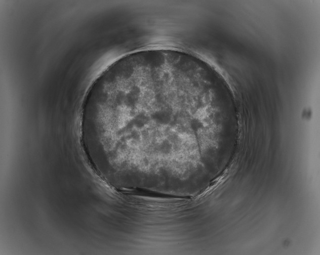 X0000097891415200804041300