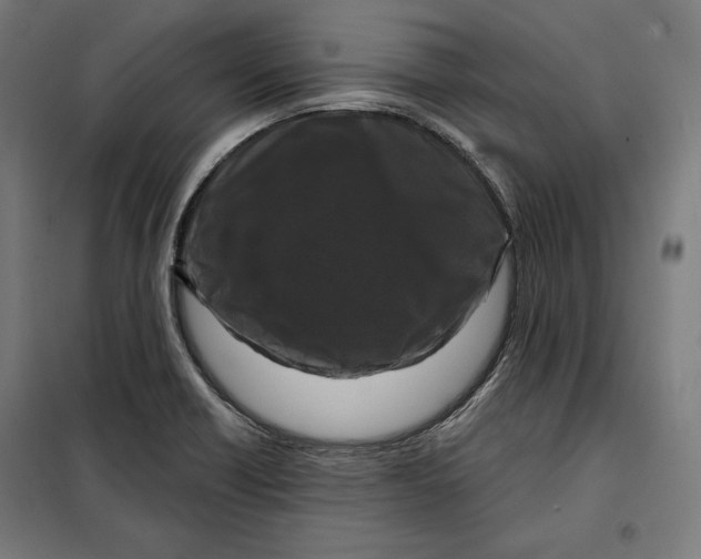 X0000097891418200804041300