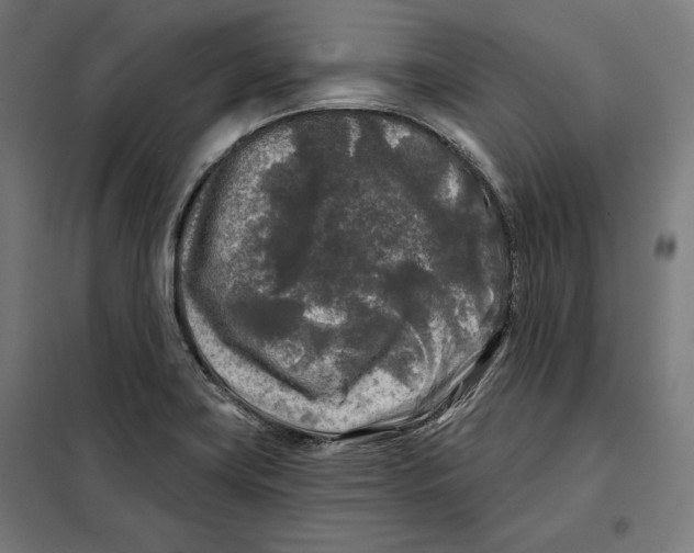 X0000097891419200804041300