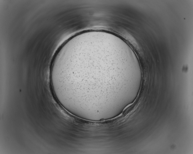 X0000097891420200804041300