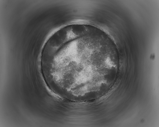 X0000097891421200804041300