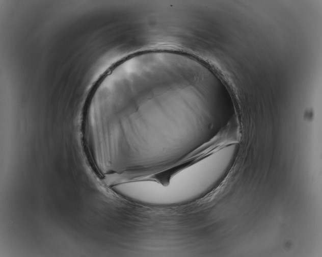 X0000097891422200804041300