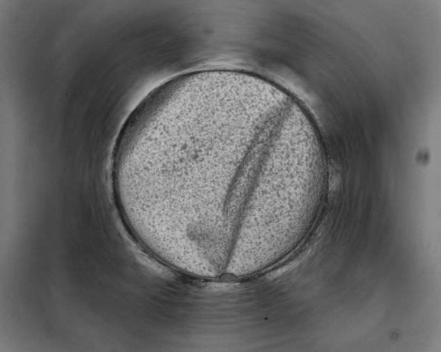 X0000097891423200804041300