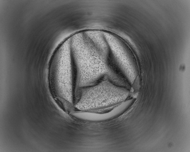 X0000097891424200804041300