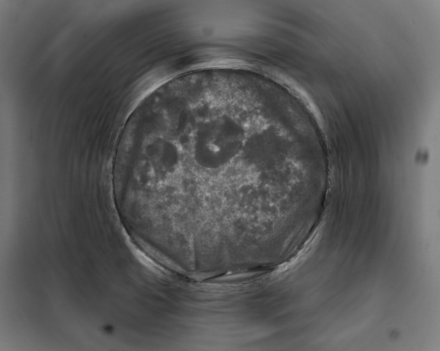 X0000097891425200804041300