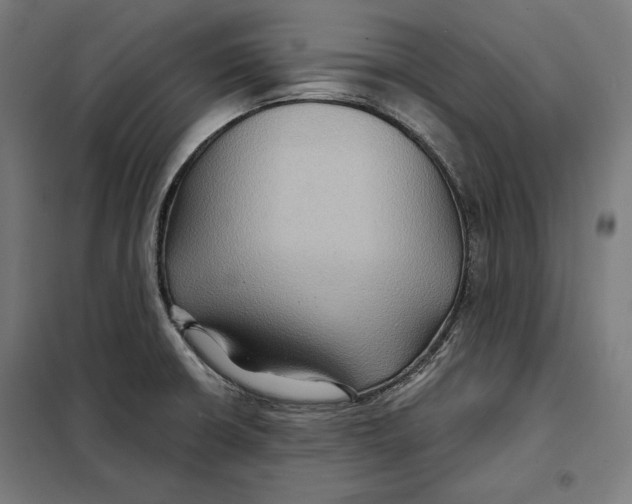 X0000097891426200804041300