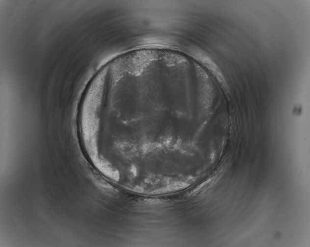 X0000097891427200804041300