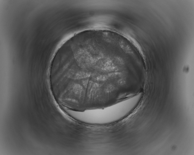 X0000097891429200804041300