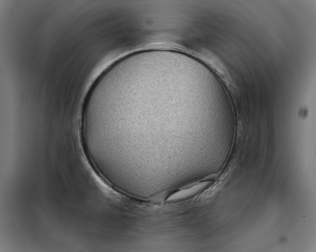 X0000097891430200804041300