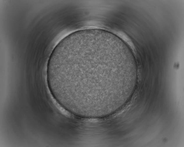 X0000097891431200804041300