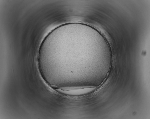 X0000097891432200804041300