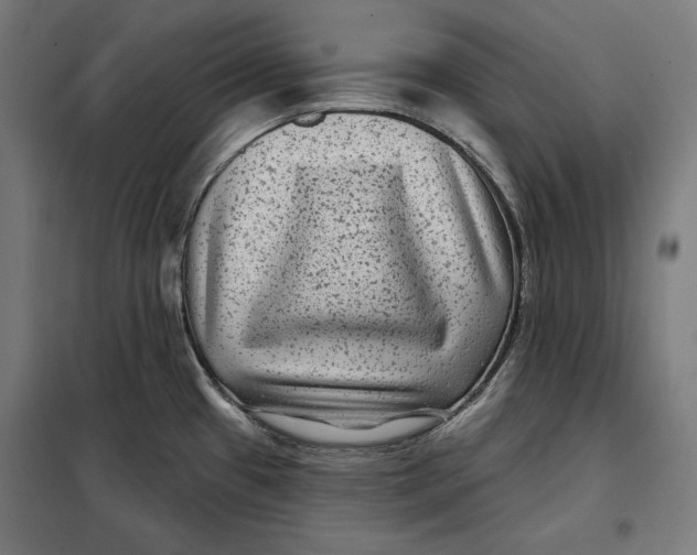 X0000097891433200804041300