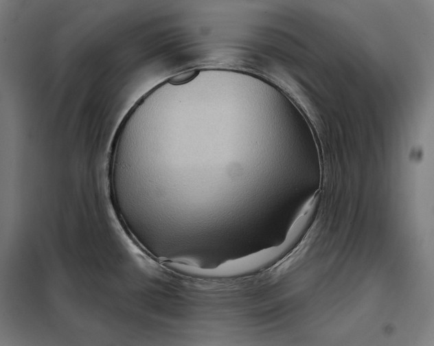 X0000097891434200804041300