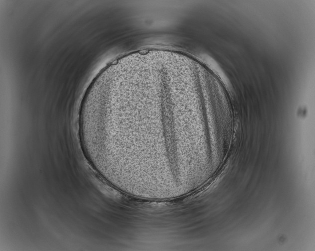 X0000097891435200804041300