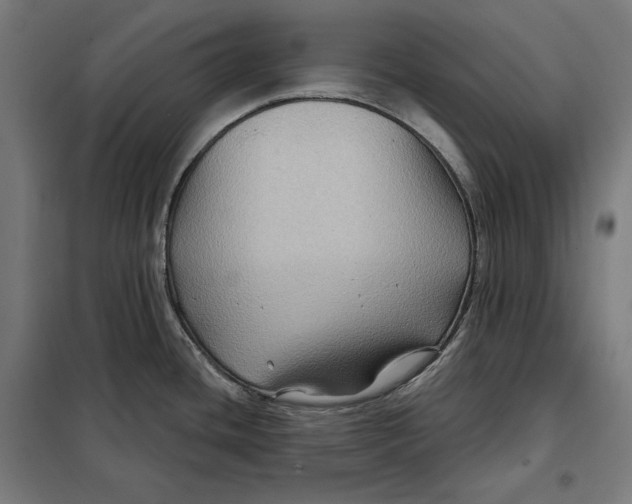 X0000097891436200804041300