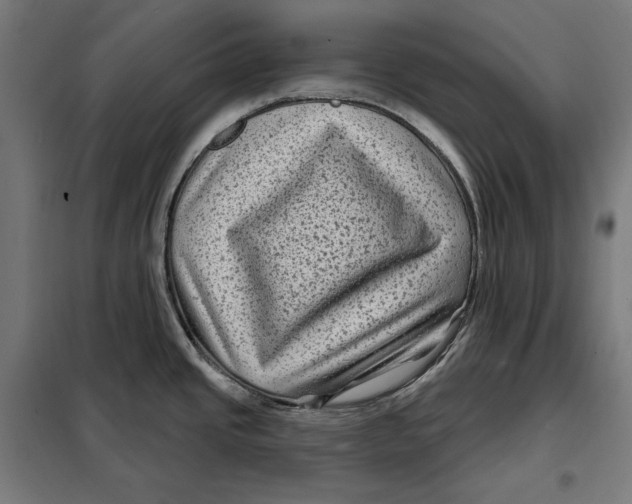 X0000097891437200804041300