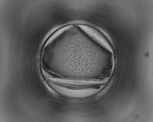 X0000097891438200804041300