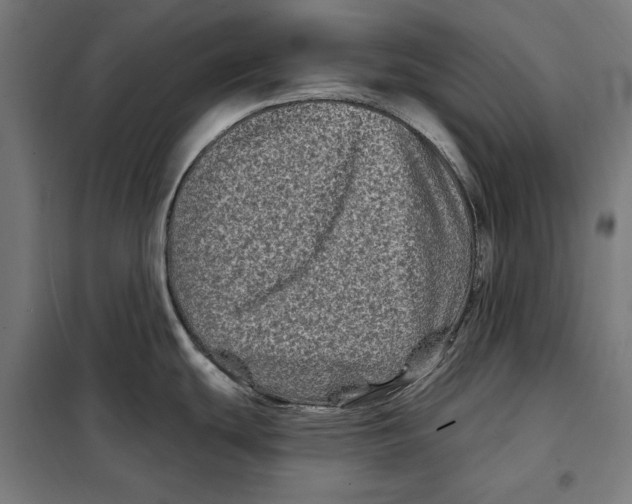 X0000097891439200804041300