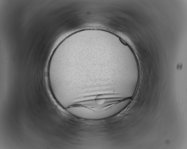 X0000097891440200804041300