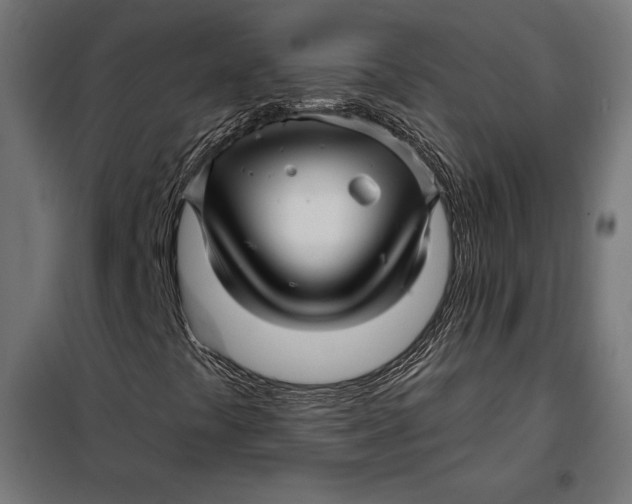 X0000097891441200804041259