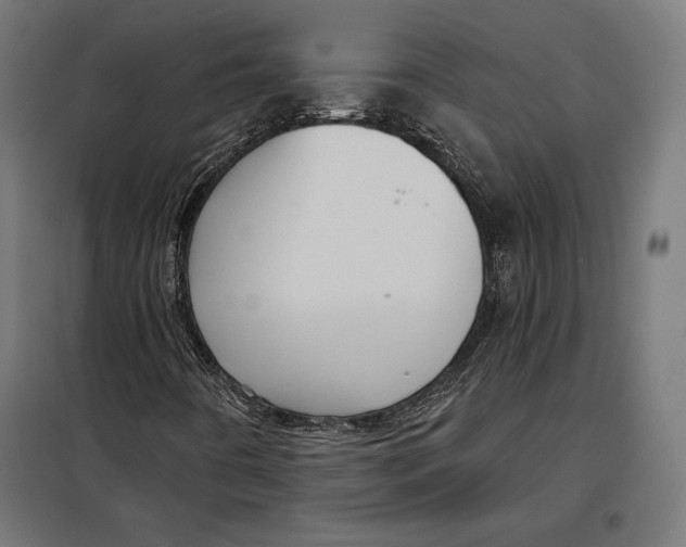 X0000097891442200804041259