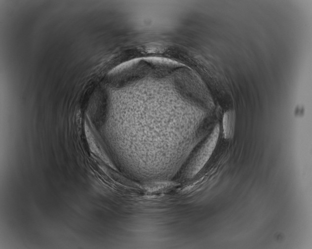 X0000097891443200804041259