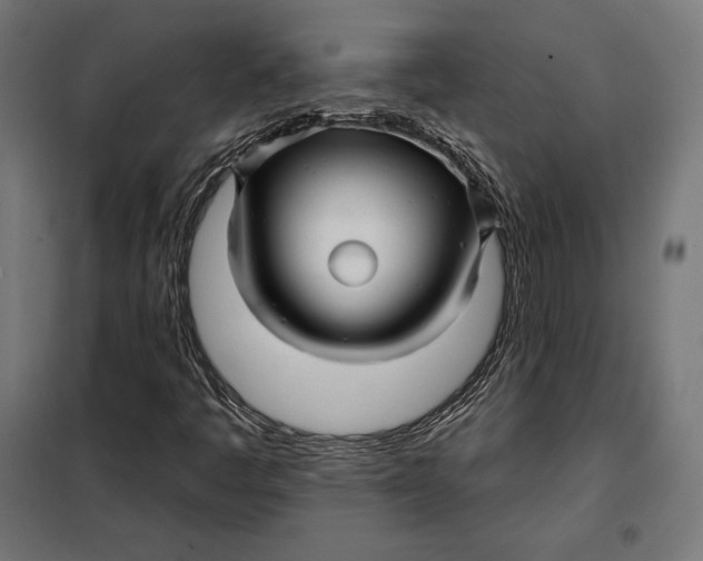 X0000097891445200804041259