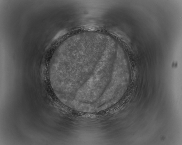 X0000097891446200804041259