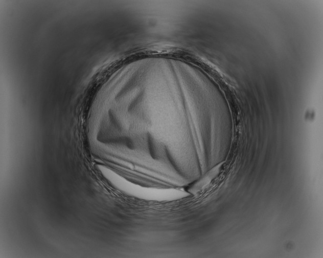 X0000097891447200804041259