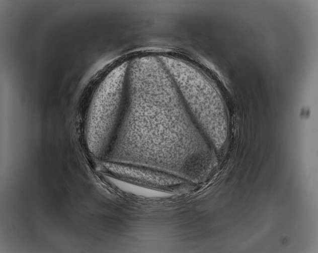 X0000097891448200804041259