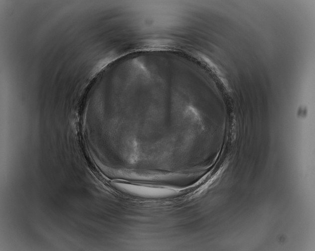 X0000097891449200804041259