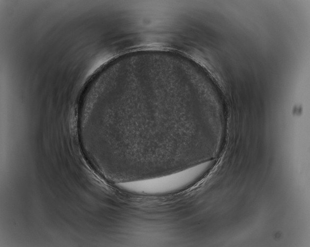 X0000097891450200804041259