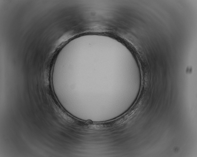 X0000097891451200804041259