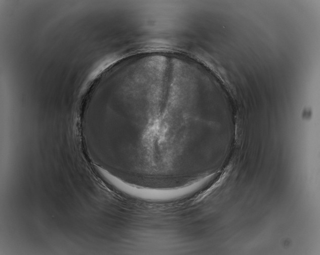 X0000097891453200804041259