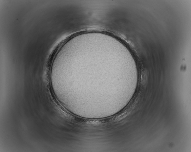 X0000097891454200804041259