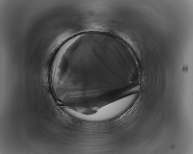 X0000097891455200804041259