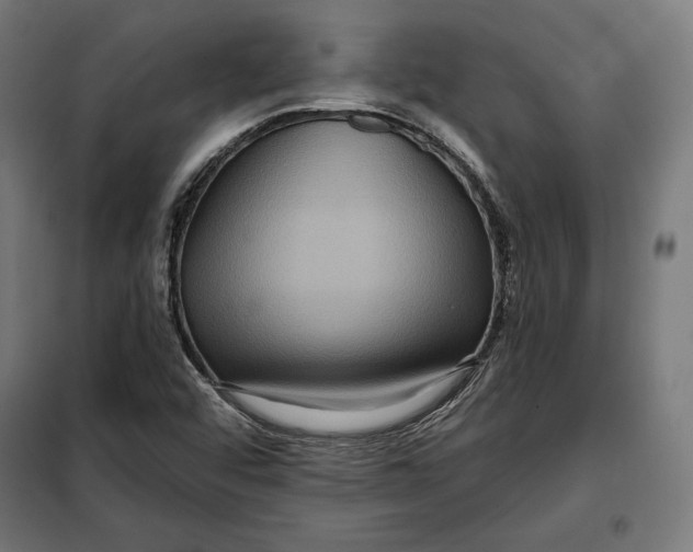 X0000097891456200804041259